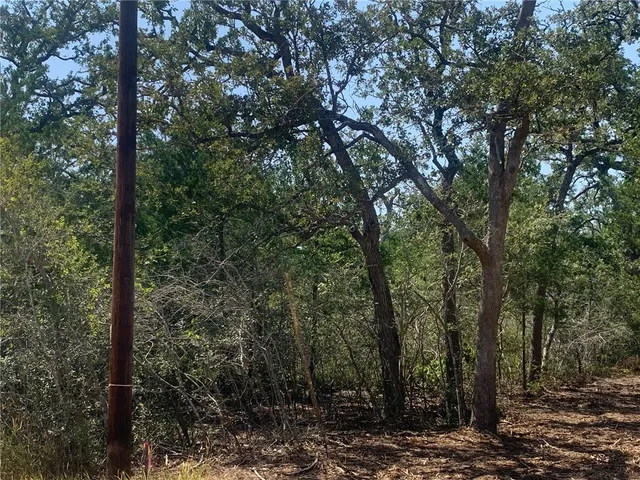 $40,000 | 515 Whispering Wood Trail, Somerville, TX 77879