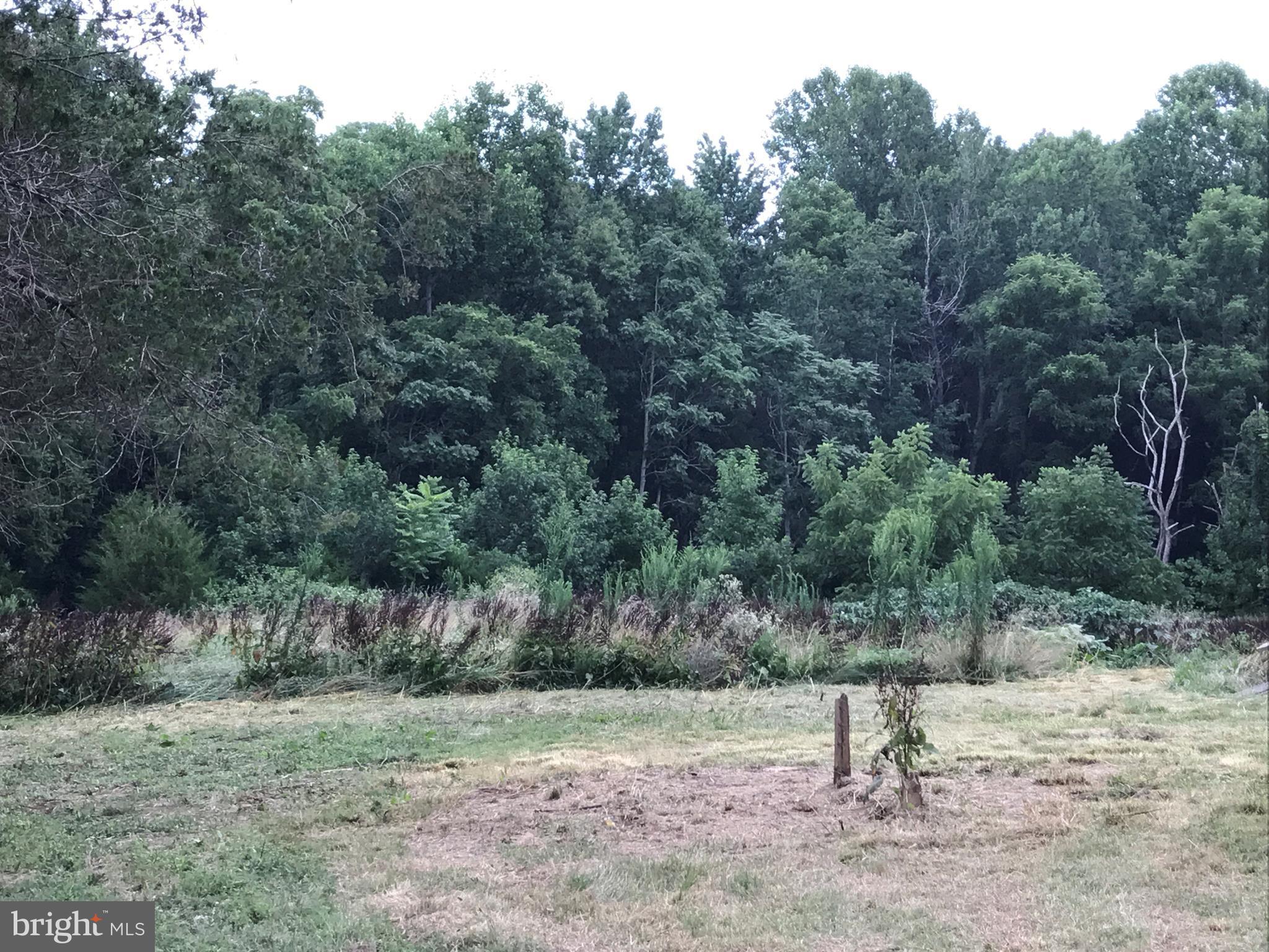 11641 Belfonte Road Bumpass, VA 23024 - Photo 7 of 23 a view of a yard with a tree