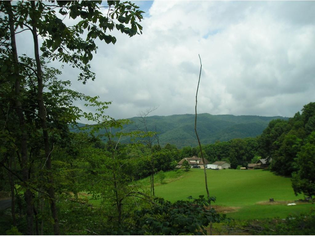 120 Willow Pond Road Unicoi, TN 37692 - Photo 19 of 26 Photo 20