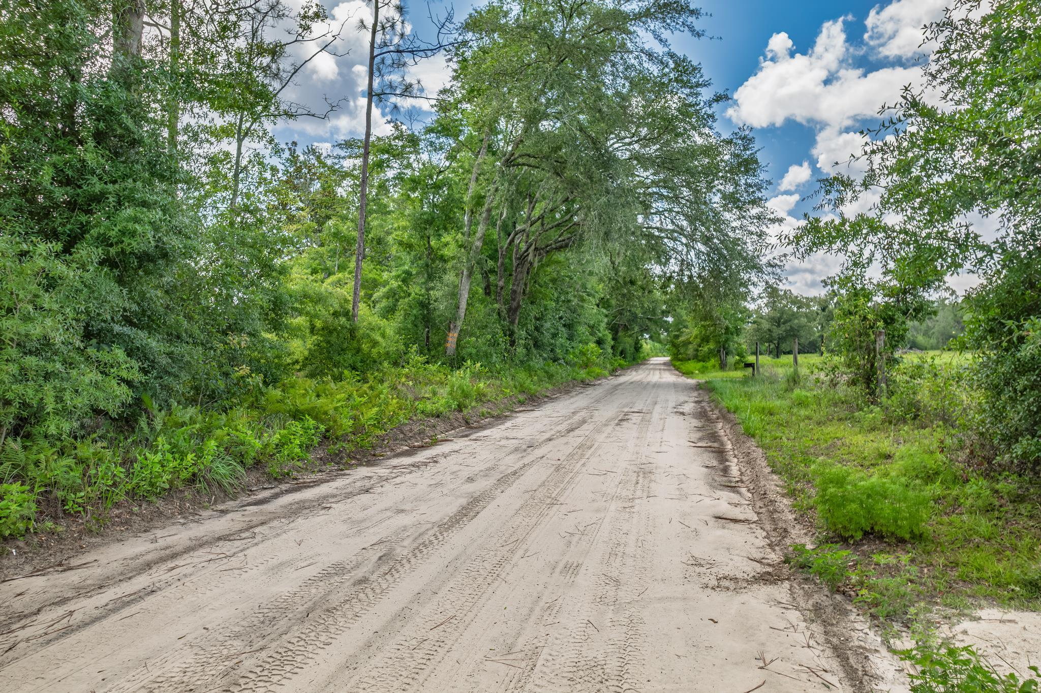 Xxx Northeast Hickory Grove Road Pinetta, FL 32350 - Photo 28 of 32