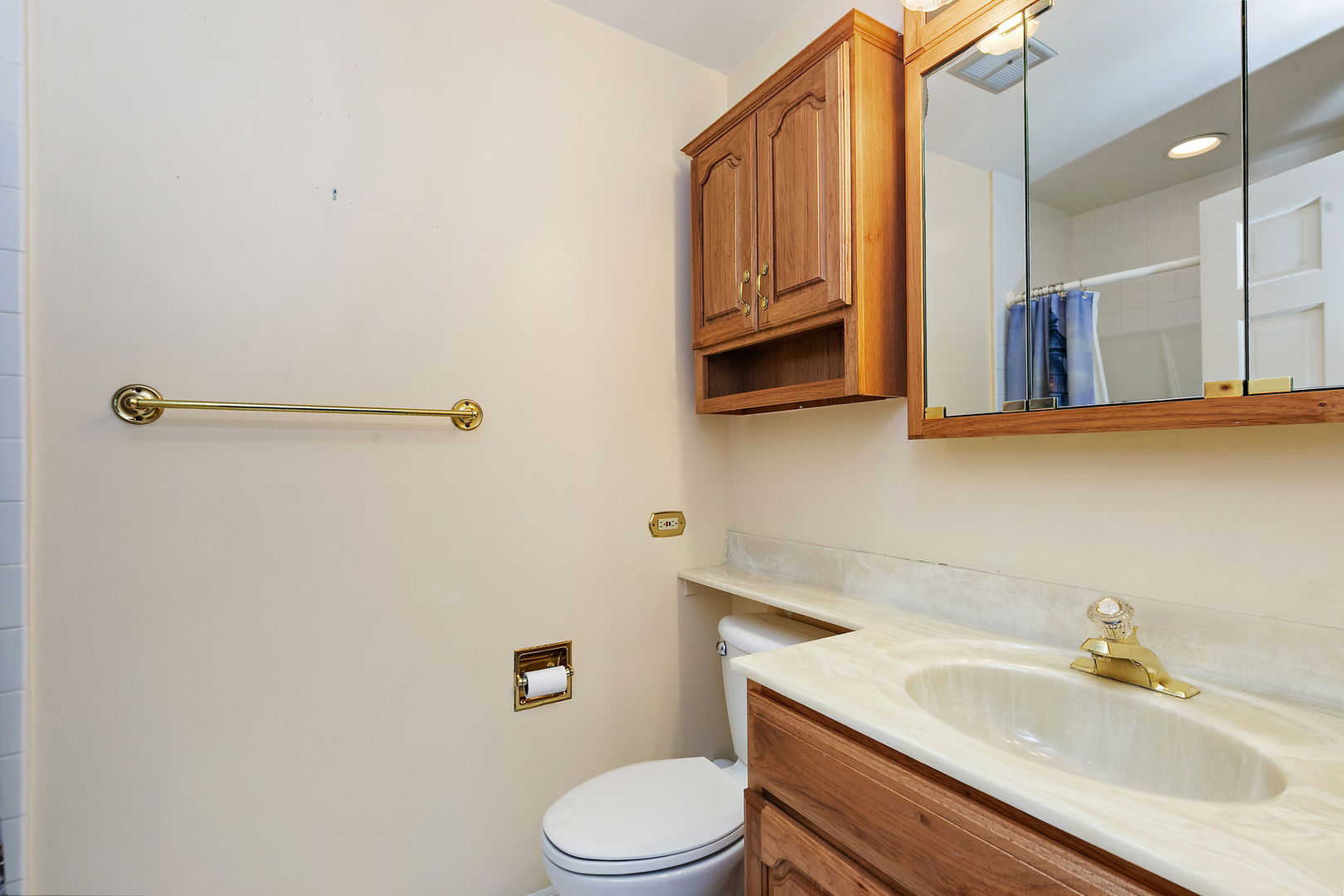 517 Sheffield Road Naperville, IL 60565 - Photo 15 of 29 a bathroom with a sink a toilet and shower