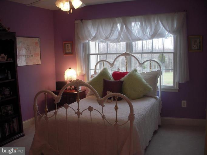3420 Spring Azure Court Edgewater, MD 21037 - Photo 16 of 30 Bedroom #2