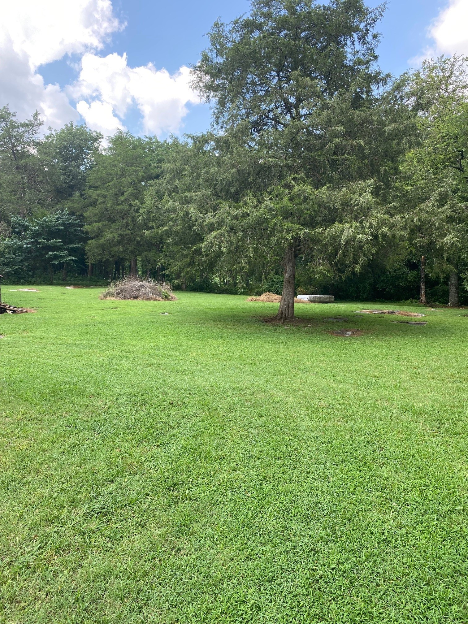 380 Vinta Mill Road Prospect, TN 38477 - Photo 3 of 12
