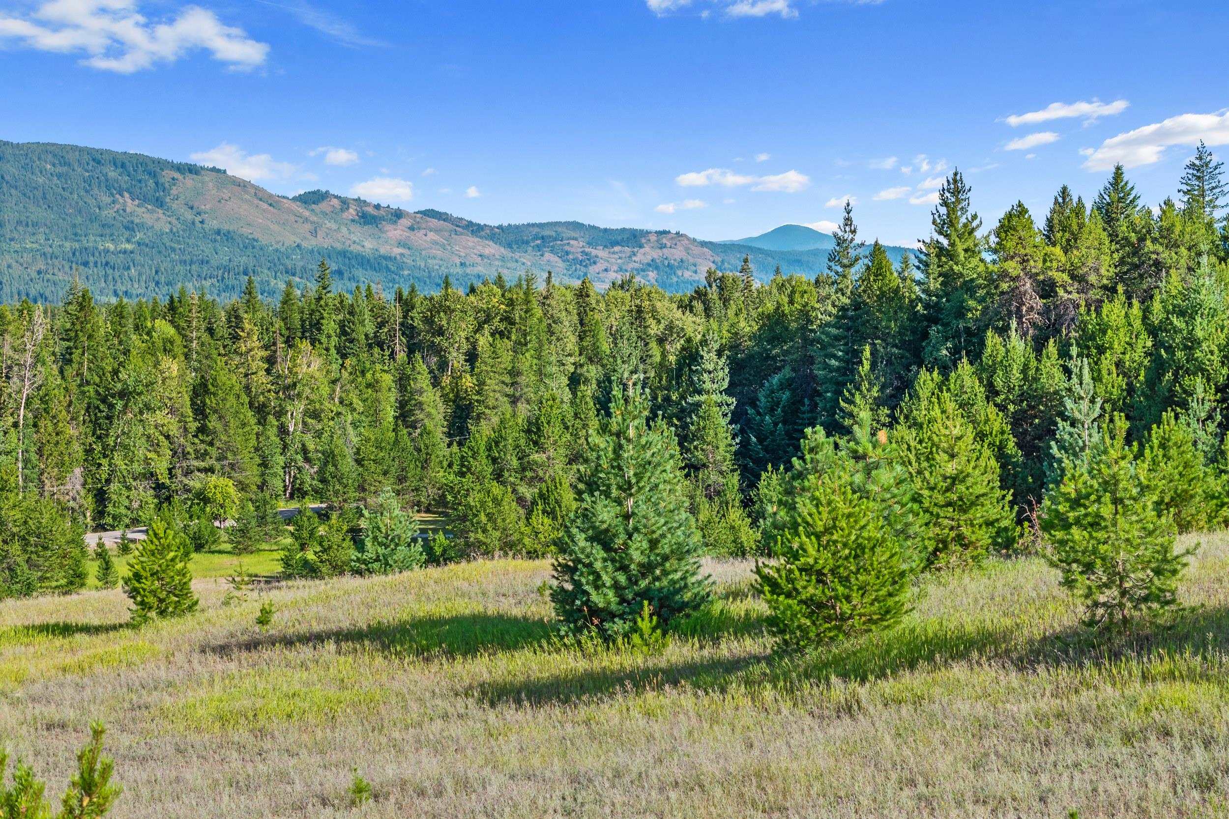 247 Schlegel Ranch Road Ione, WA 99139 - Photo 14 of 30