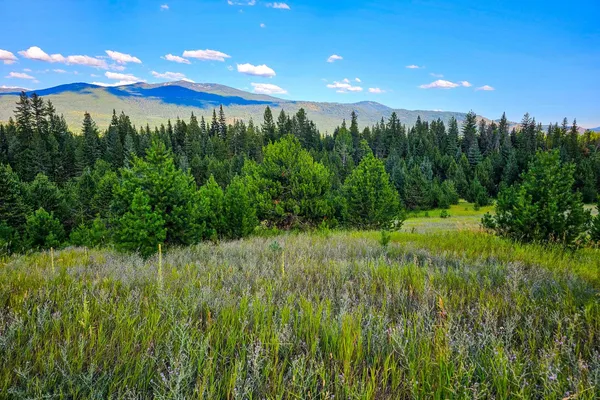 $129,500 | 247 Schlegel Ranch Road, Ione, WA 99139