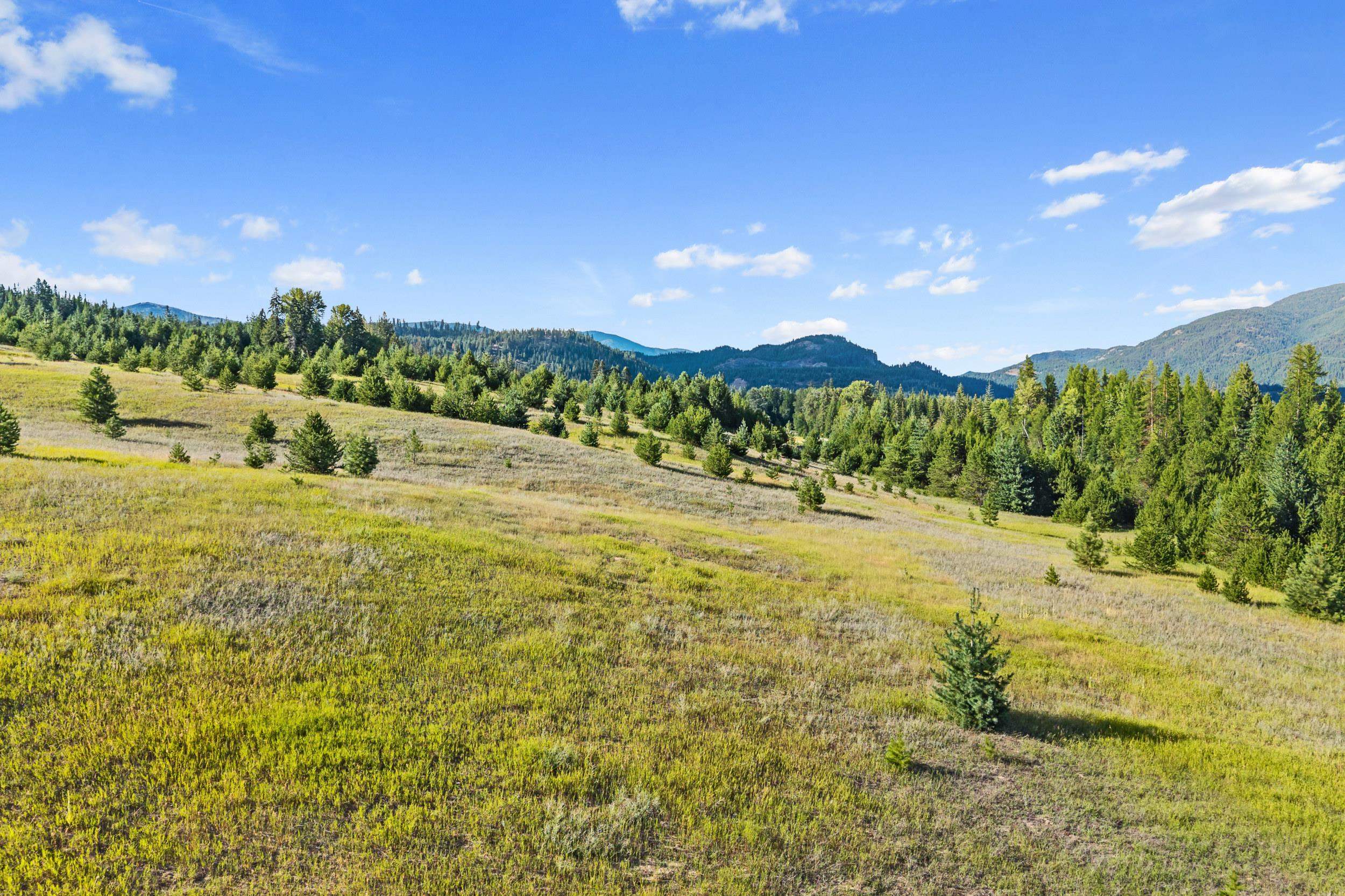 247 Schlegel Ranch Road Ione, WA 99139 - Photo 19 of 30