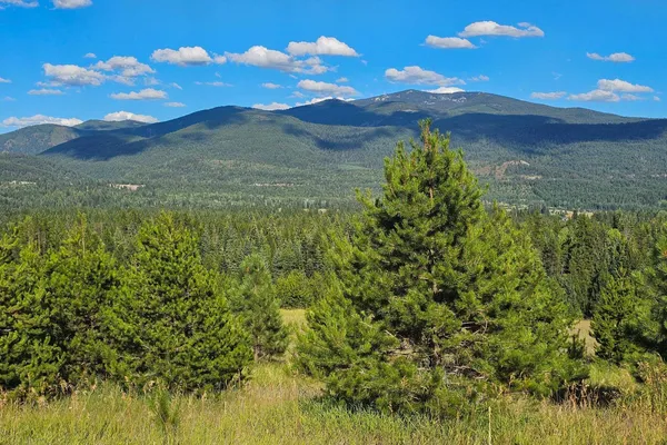 $129,500 | 247 Schlegel Ranch Road, Ione, WA 99139