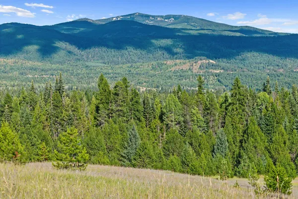$129,500 | 247 Schlegel Ranch Road, Ione, WA 99139