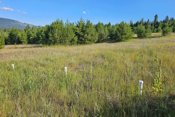 $129,500 | 247 Schlegel Ranch Road, Ione, WA 99139