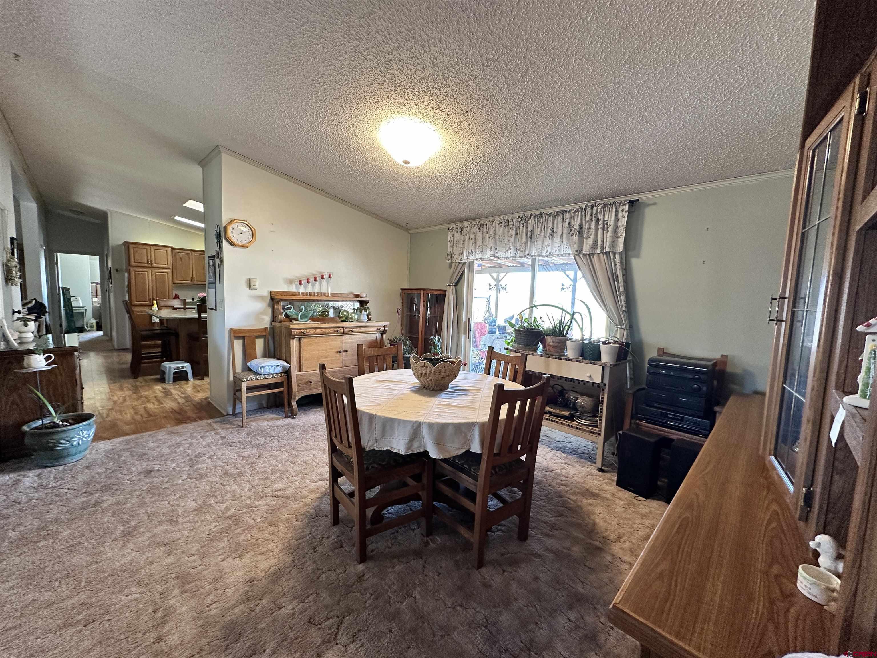 21177 Navajo Road Eckert, CO 81418 - Photo 3 of 17