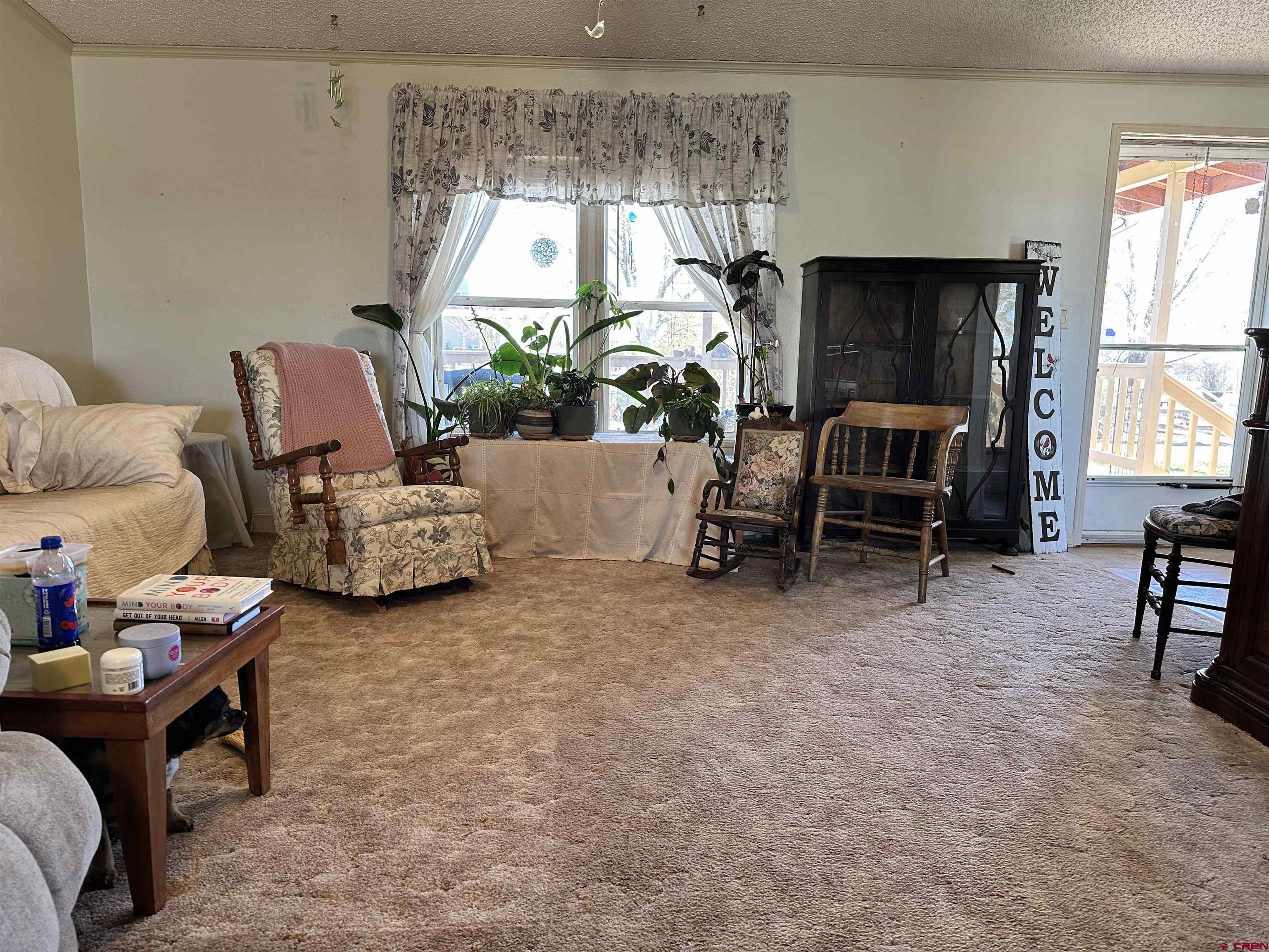 21177 Navajo Road Eckert, CO 81418 - Photo 6 of 17