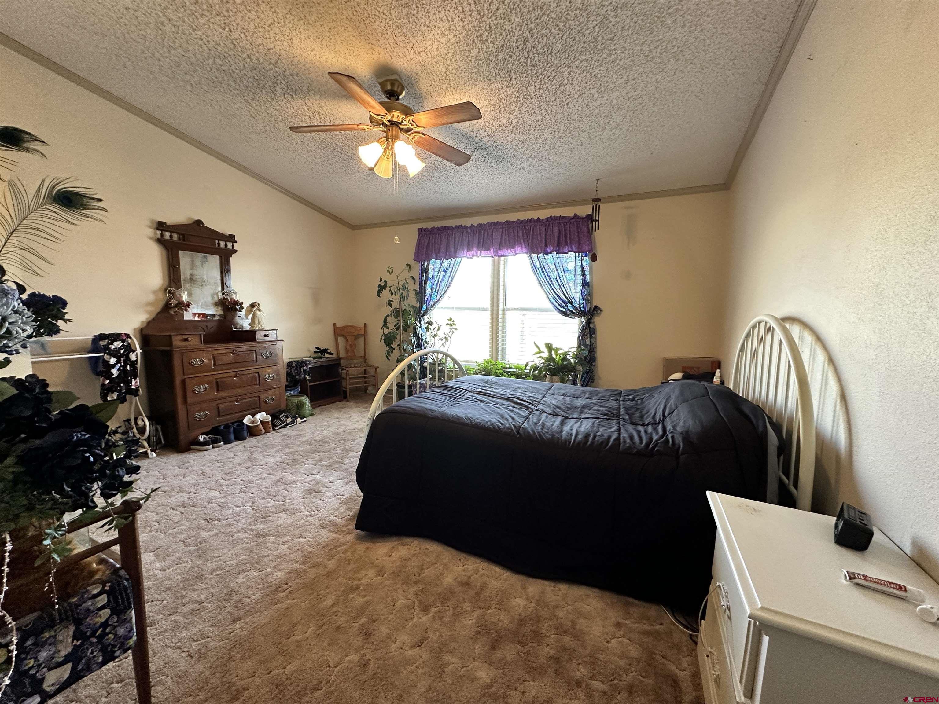 21177 Navajo Road Eckert, CO 81418 - Photo 7 of 17