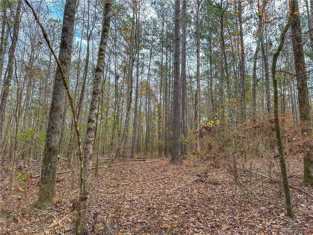 0 Ridge Road Opelika, AL 36804 - Photo 8 of 12 Gallery Image 8