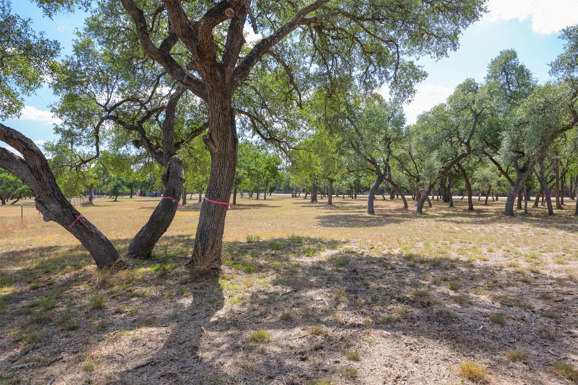 1301 Sandy Point Road Wimberley, TX 78676 - Photo 4 of 25 a view of outdoor space with trees