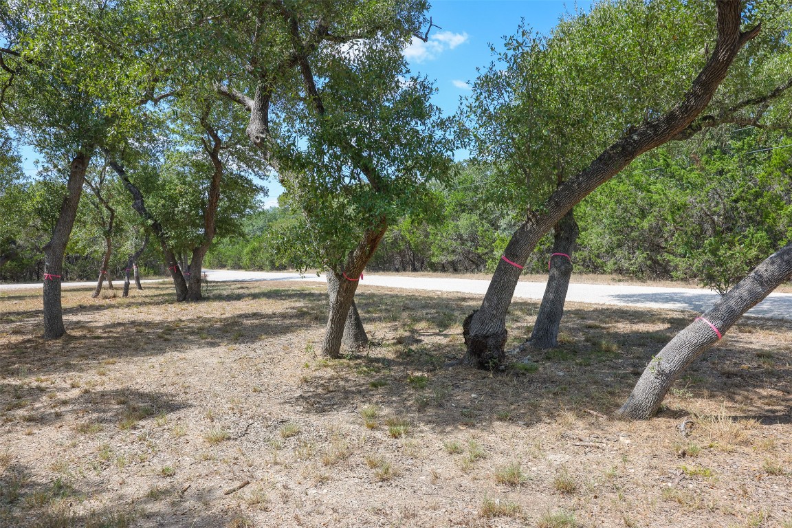 1301 Sandy Point Road Wimberley, TX 78676 - Photo 5 of 25 a view of outdoor space with trees