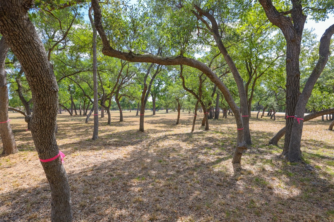 1301 Sandy Point Road Wimberley, TX 78676 - Photo 6 of 25 a view of outdoor space with trees