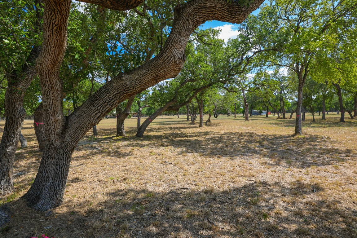 1301 Sandy Point Road Wimberley, TX 78676 - Photo 8 of 25 a view of road with trees