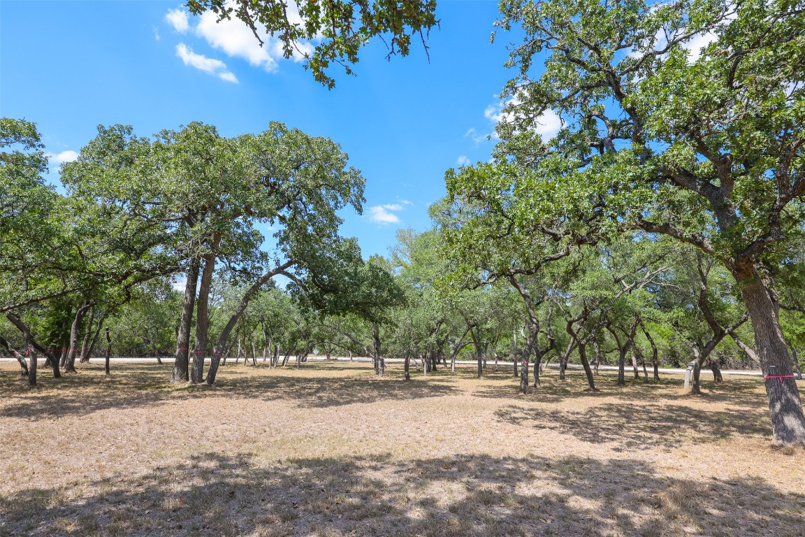 1301 Sandy Point Road Wimberley, TX 78676 - Photo 9 of 25 a view of road and trees