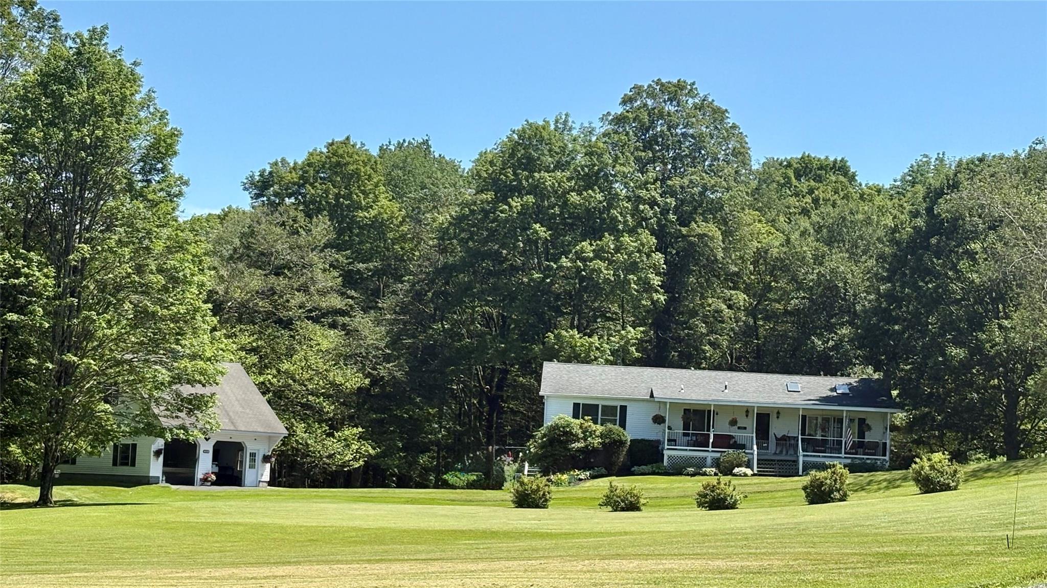 a view of a swimming pool and trees in the background