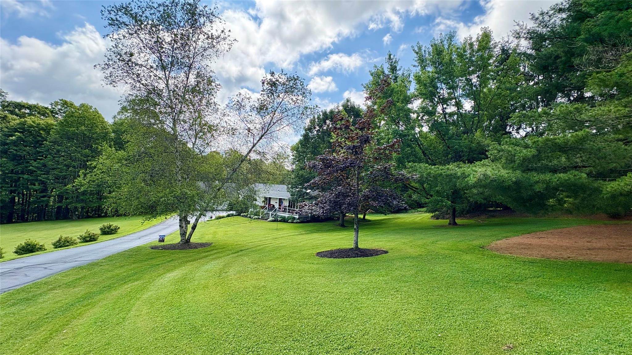 105 White Sulphur Road Swan Lake, NY 12783 - Photo 6 of 42 a view of a tree in a park
