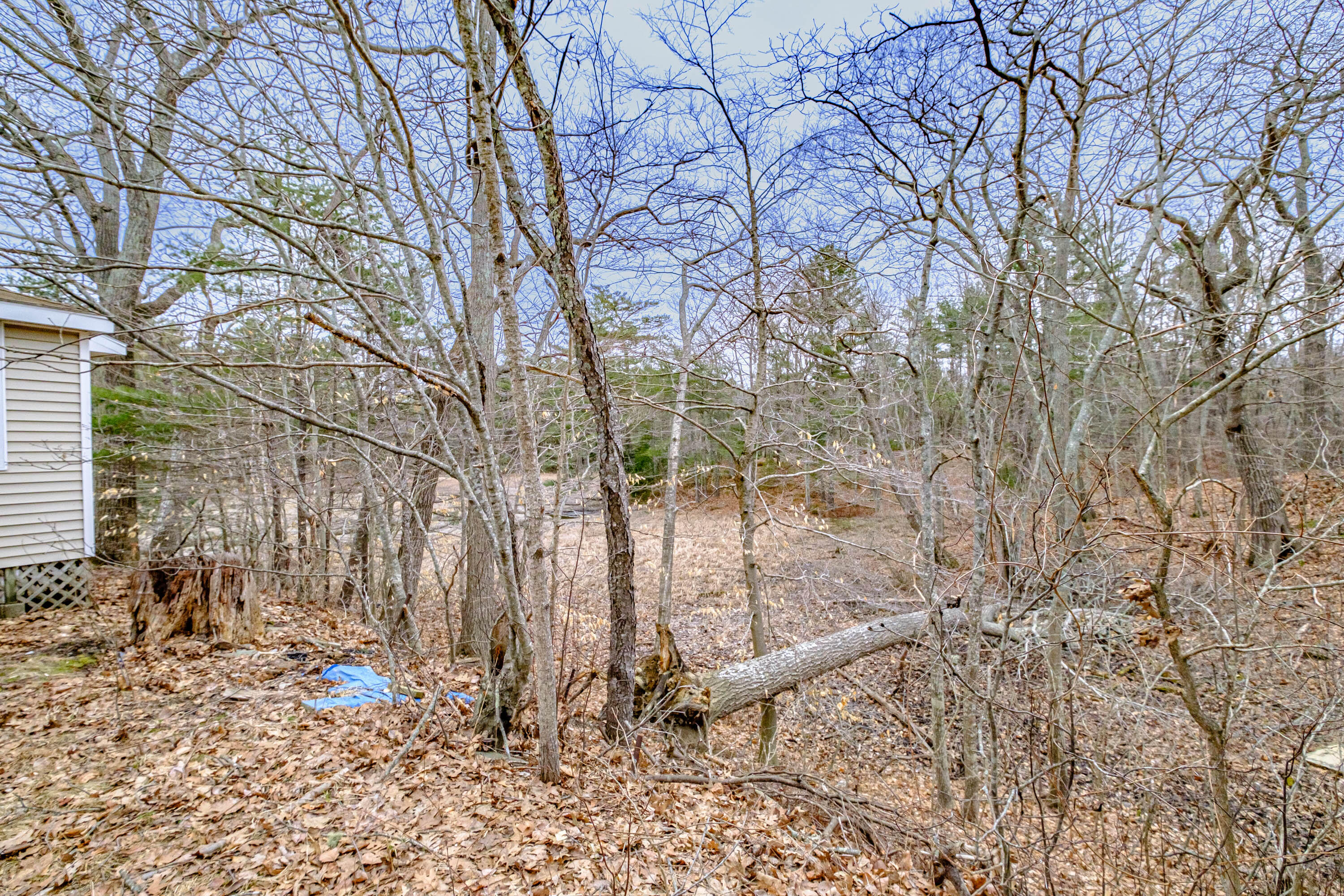 141 Rossmore Road Brunswick, ME 04011 - Photo 46 of 67 20230404gp-61018