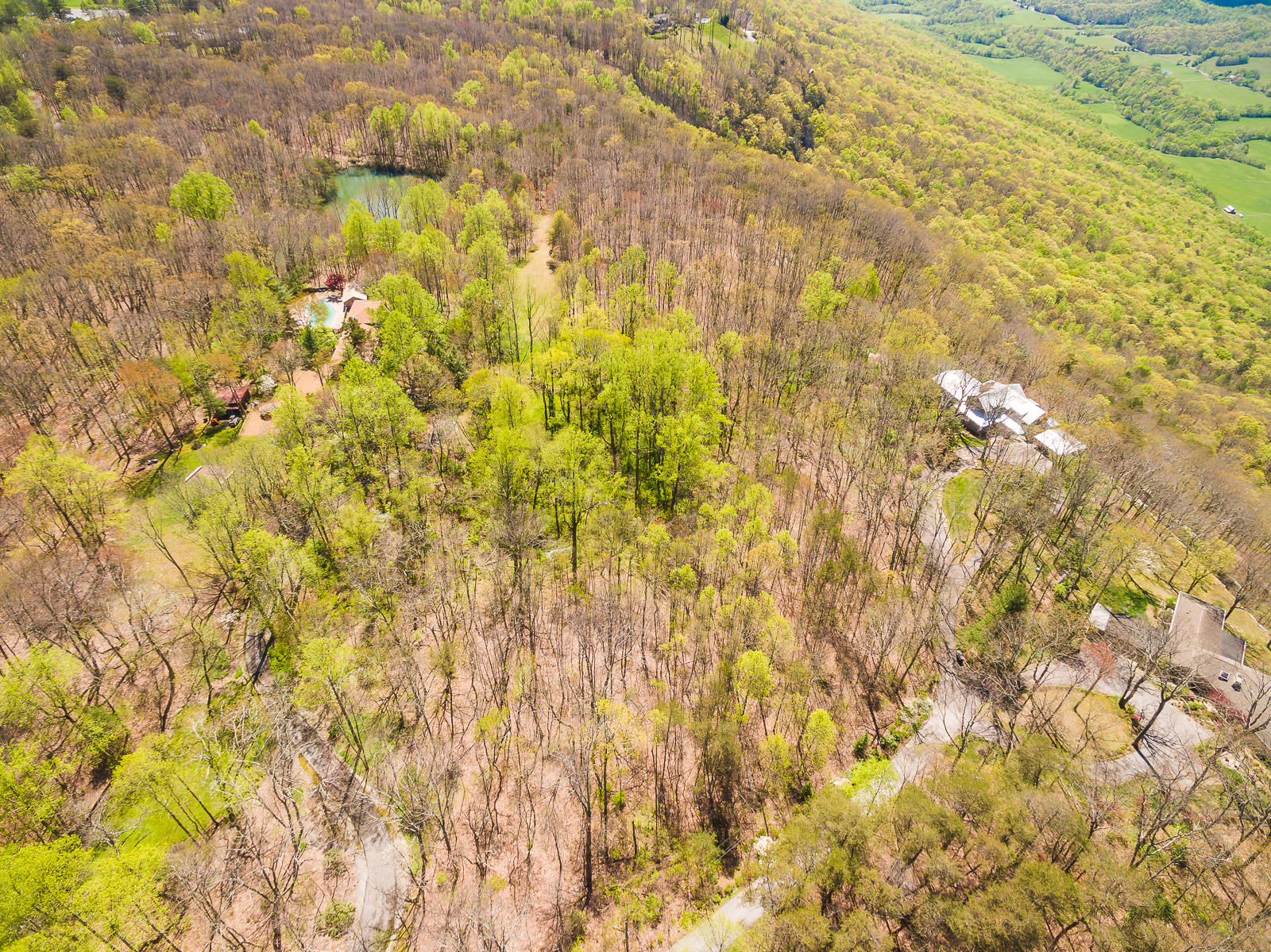 0 Frontier Bluff Road, Unit LOT 2 Lookout Mountain, GA 30750 - Photo 1 of 21 FrontierBluffRoad-43