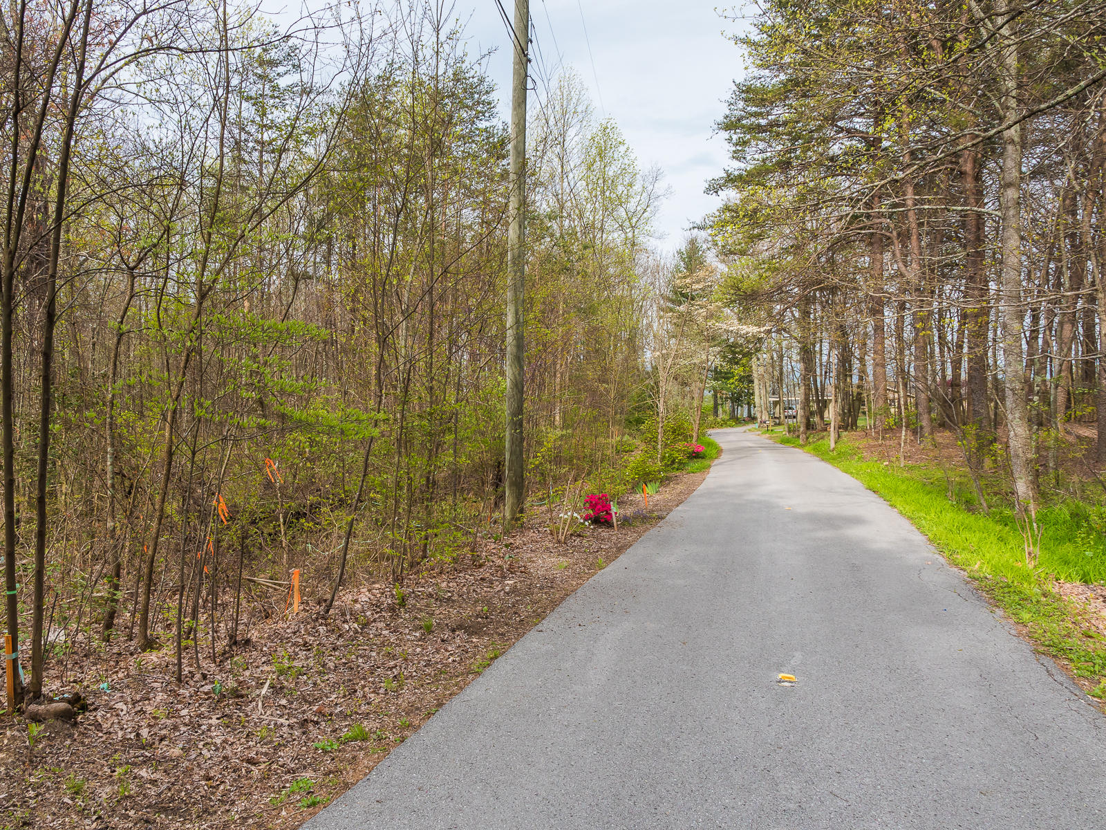 0 Frontier Bluff Road, Unit LOT 2 Lookout Mountain, GA 30750 - Photo 13 of 21 FrontierBluffRoad-7