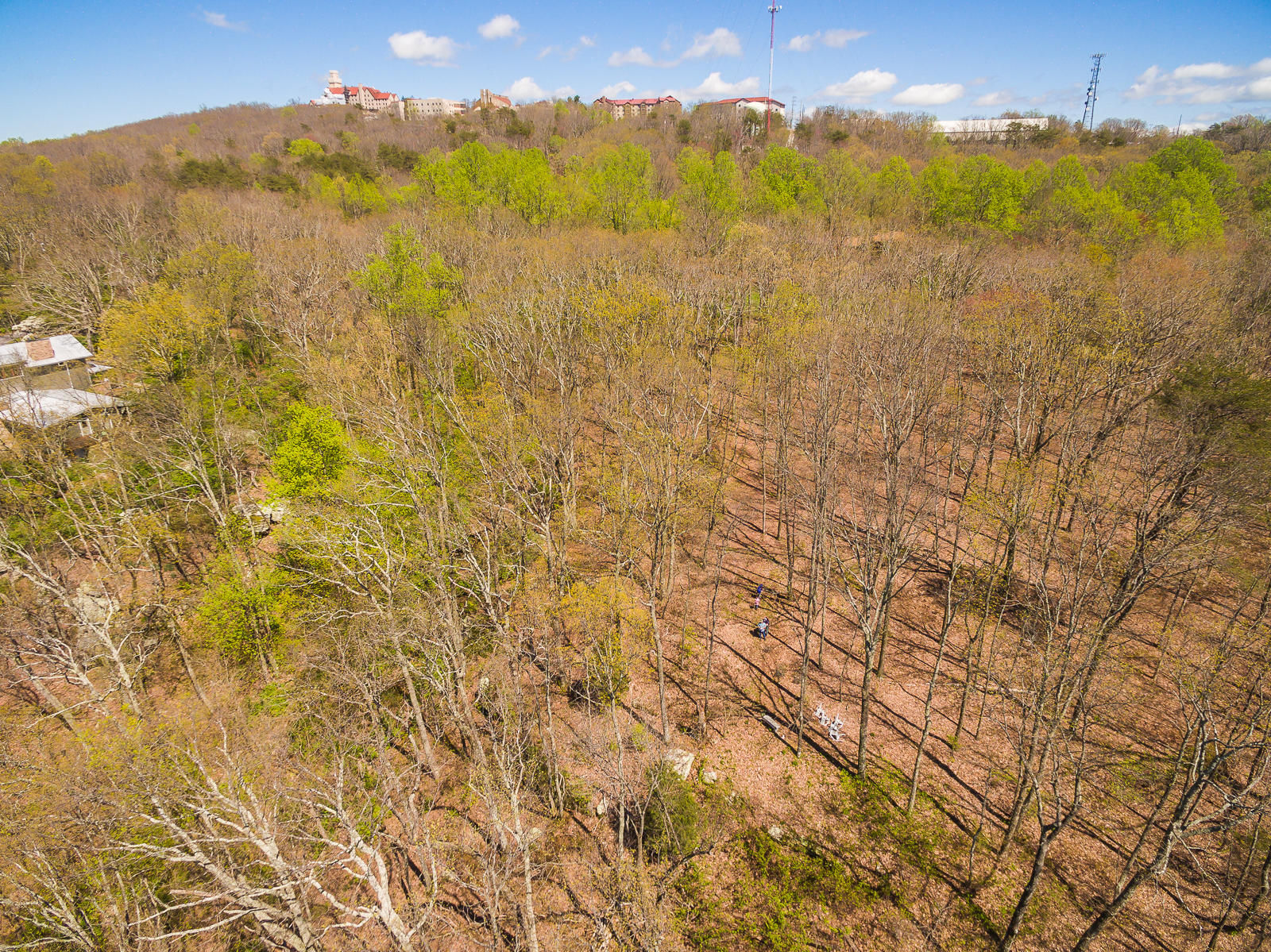 0 Frontier Bluff Road, Unit LOT 2 Lookout Mountain, GA 30750 - Photo 20 of 21 FrontierBluffRoad-100