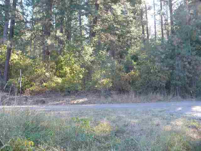 4585 Terrace Road Loon Lake, WA 99148 - Photo 4 of 9 Gallery Image 4