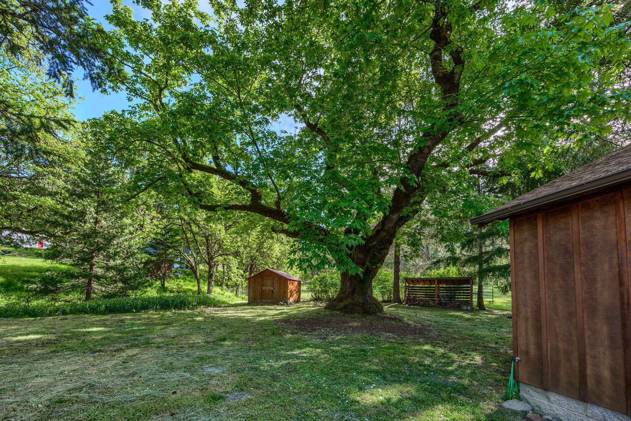 8215 Colonial Way Central Point, OR 97502 - Photo 51 of 69 backyard 66
