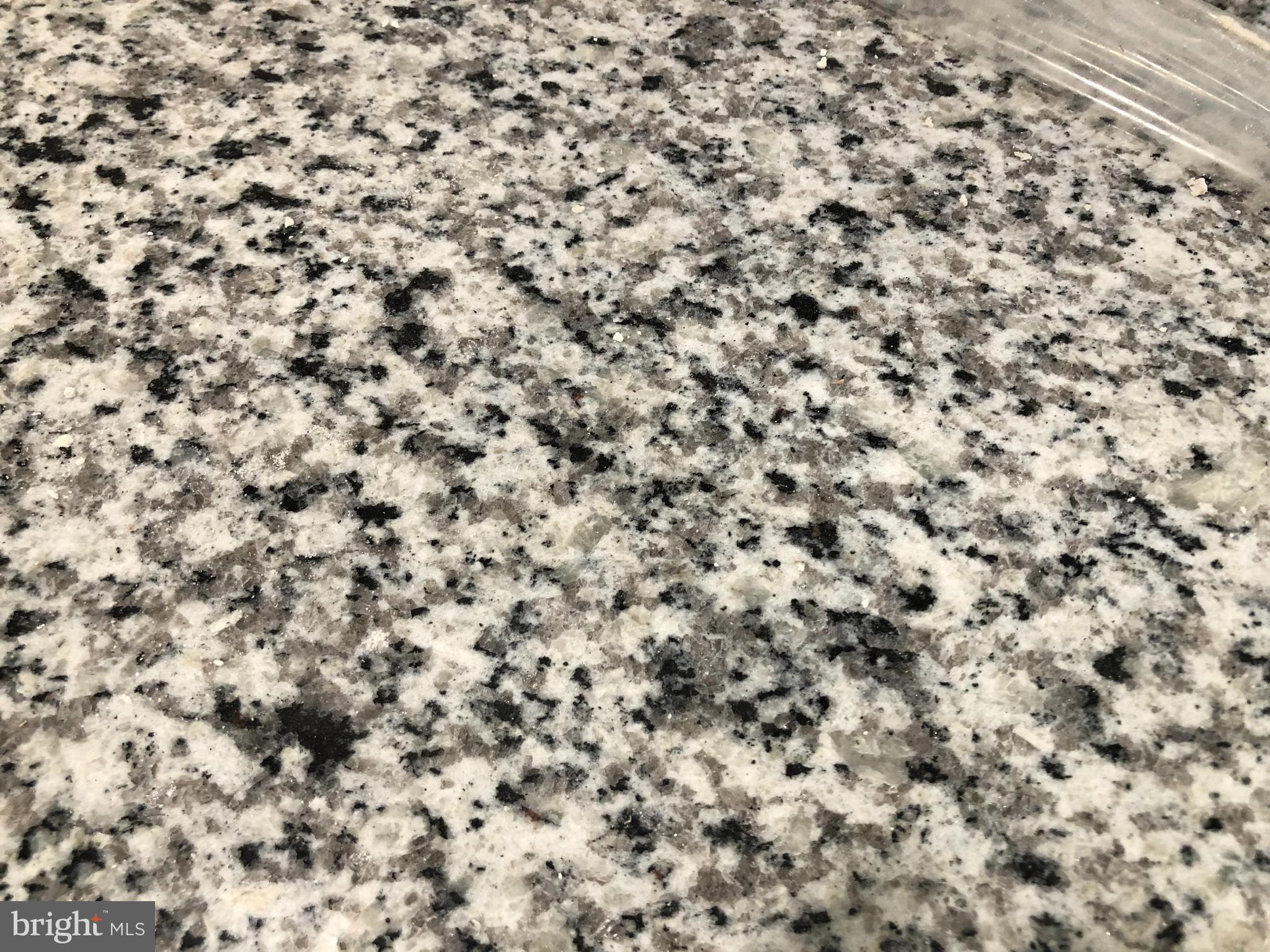 6478 Pleasant Drive Laurel, DE 19956 - Photo 18 of 55 granite