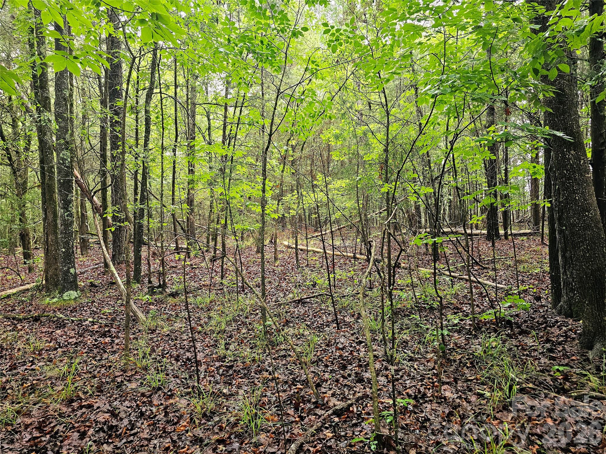 0 Shirley Road Fort Lawn, SC 29714 - Photo 2 of 6