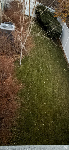 1085 Windsor Drive Provo, UT 84604 - Photo 83 of 83 Side yard