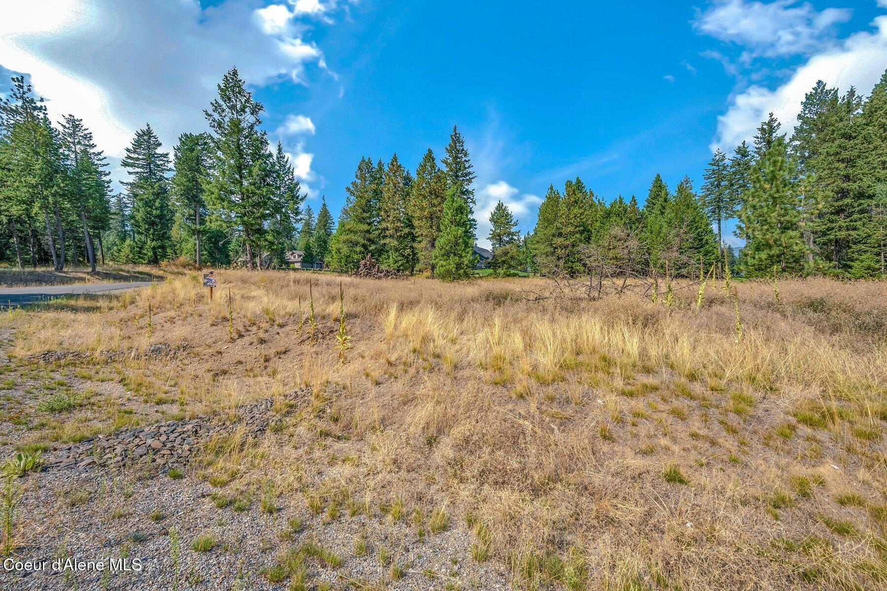 L6-b10 North Walden Loop Rathdrum, ID 83858 - Photo 9 of 15 level with slight slope