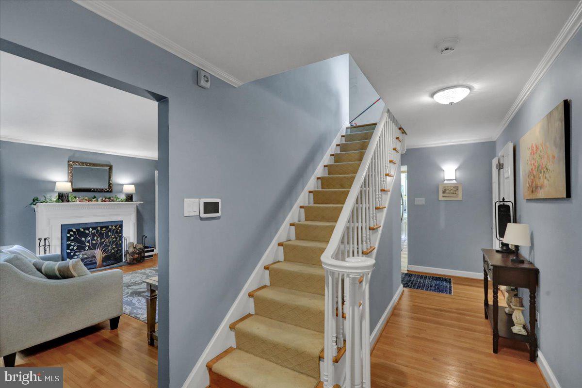 111 Maple Avenue Reading, PA 19607 - Photo 26 of 58 Gallery Image 26