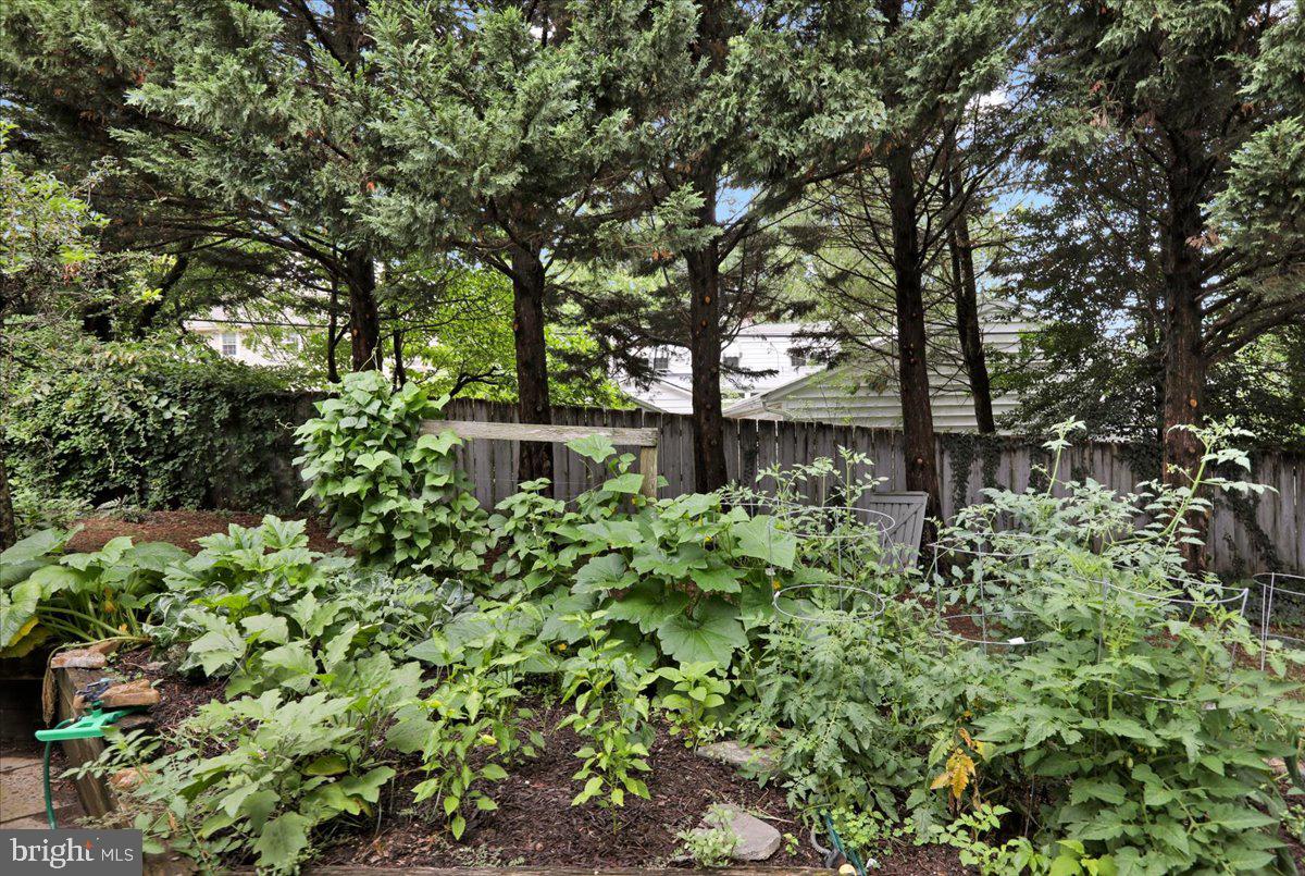 111 Maple Avenue Reading, PA 19607 - Photo 46 of 58 Veggie garden