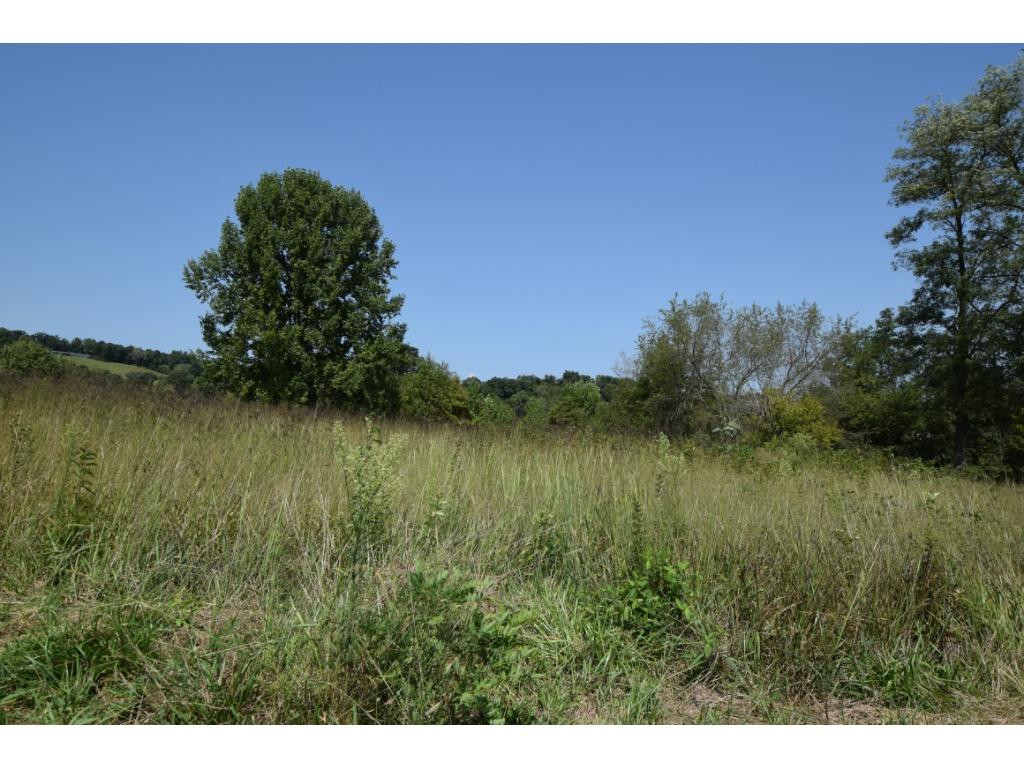 Tbd Centenary Road, Unit 4 Blountville, TN 37617 - Photo 3 of 5 Photo 3