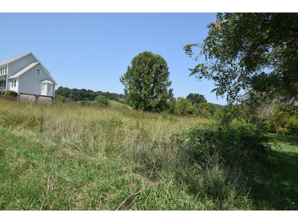 Tbd Centenary Road, Unit 4 Blountville, TN 37617 - Photo 4 of 5 Photo 4