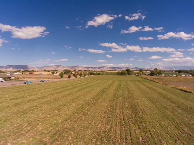 1417 19 Road Fruita, CO 81521 - Photo 18 of 24 a view of an ocean