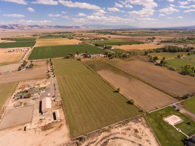 1417 19 Road Fruita, CO 81521 - Photo 3 of 24