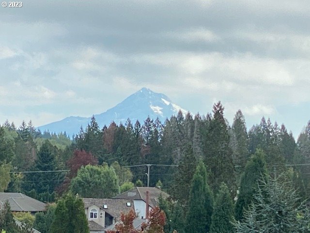 1236 Southeast 26th Drive Gresham, OR 97080 - Photo 22 of 48 a view of a city with lush green forest