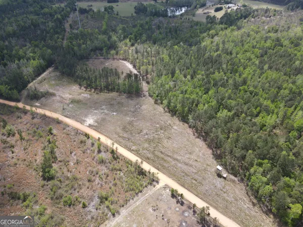 $110,000 | 0 Old Dellwood Road, Swainsboro, GA 30401