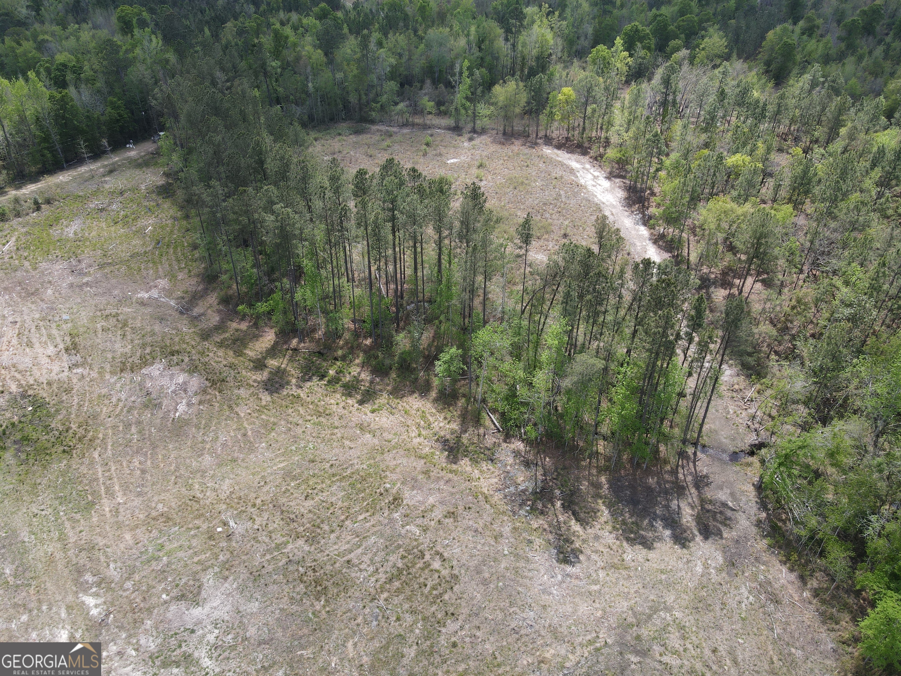 0 Old Dellwood Road Swainsboro, GA 30401 - Photo 4 of 7 a view of outdoor space and trees