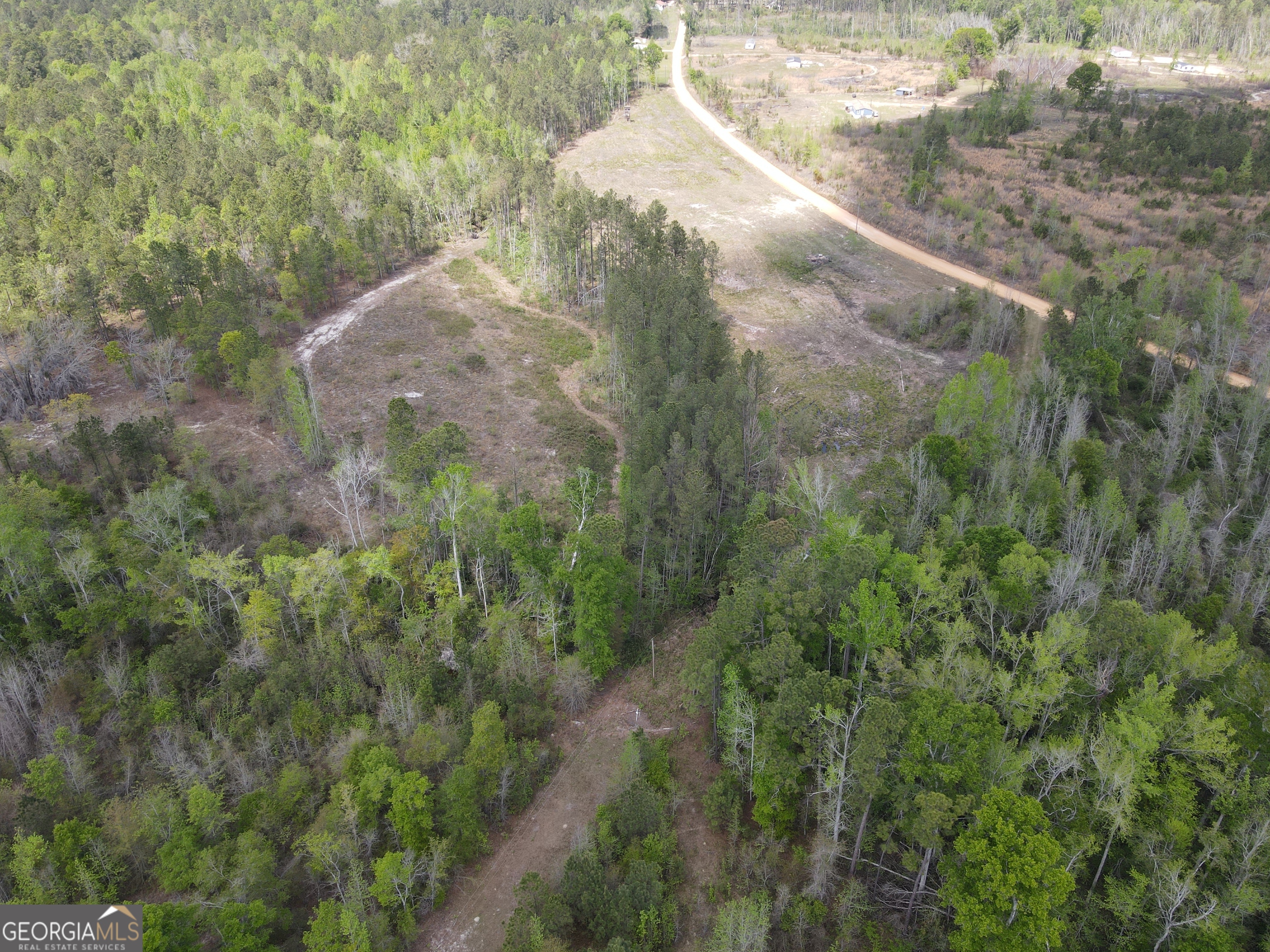 0 Old Dellwood Road Swainsboro, GA 30401 - Photo 6 of 7 a view of a forest that has a tree