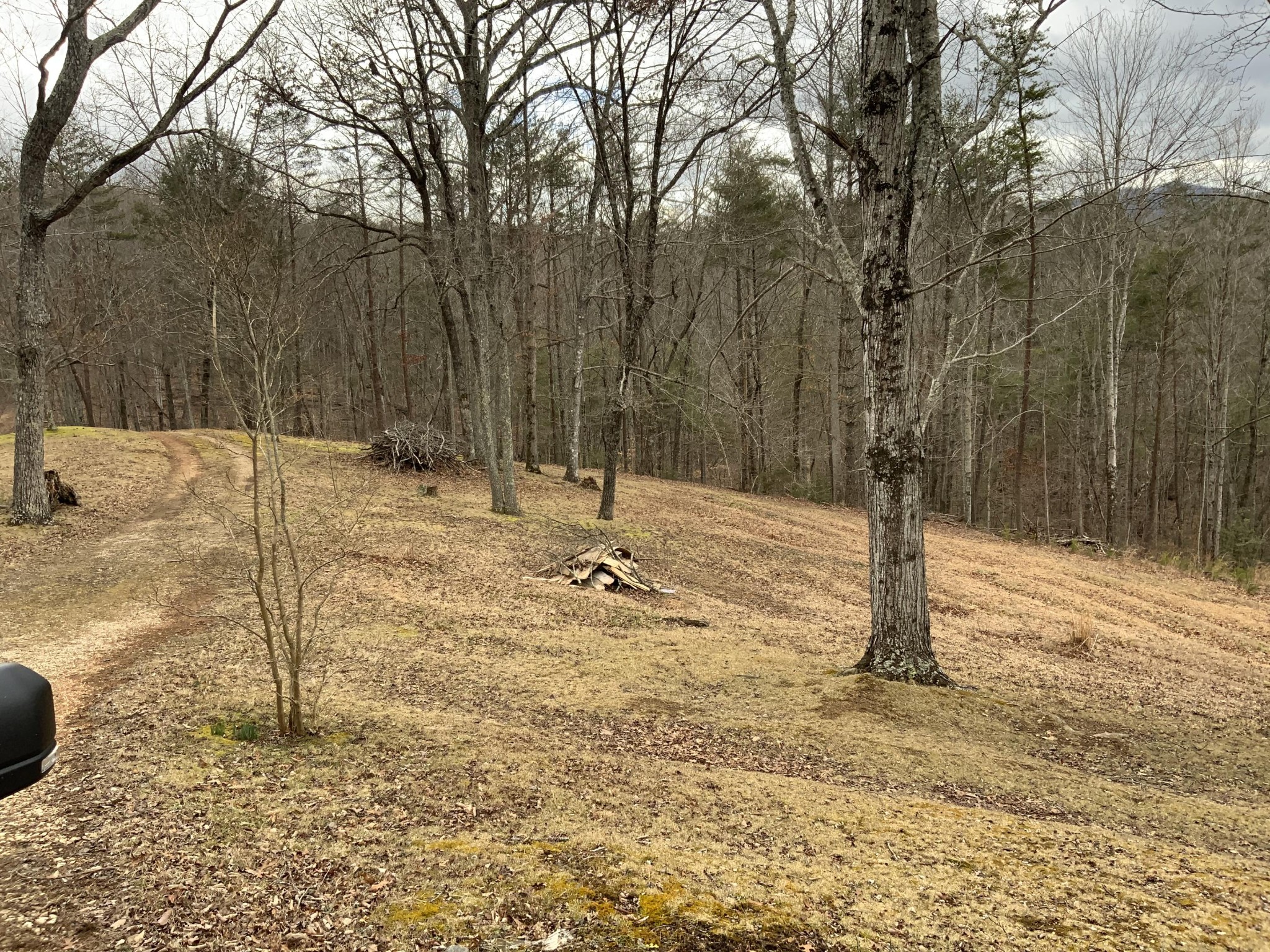 236 Cooper Road Vonore, TN 37885 - Photo 21 of 39