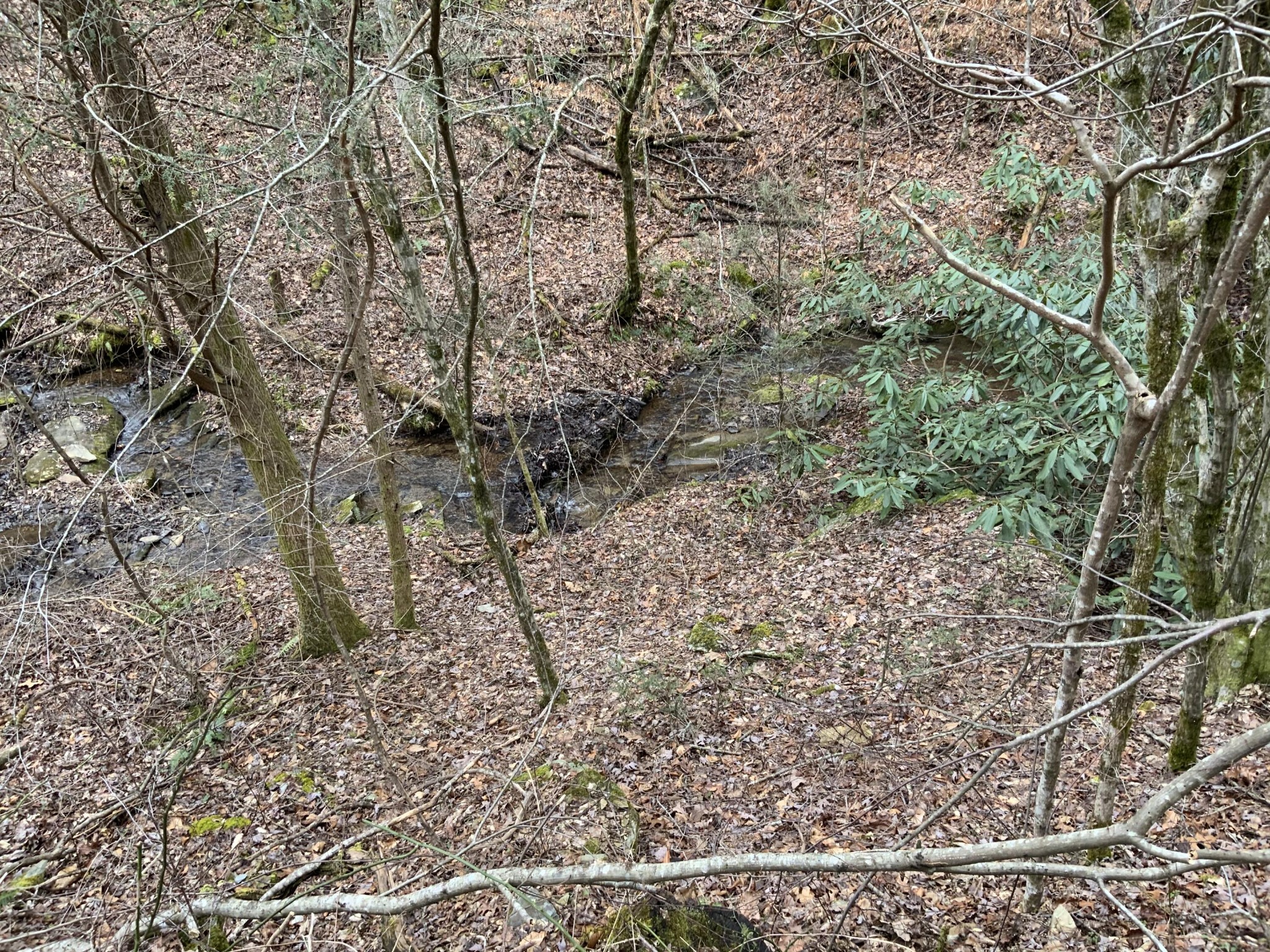 236 Cooper Road Vonore, TN 37885 - Photo 22 of 39