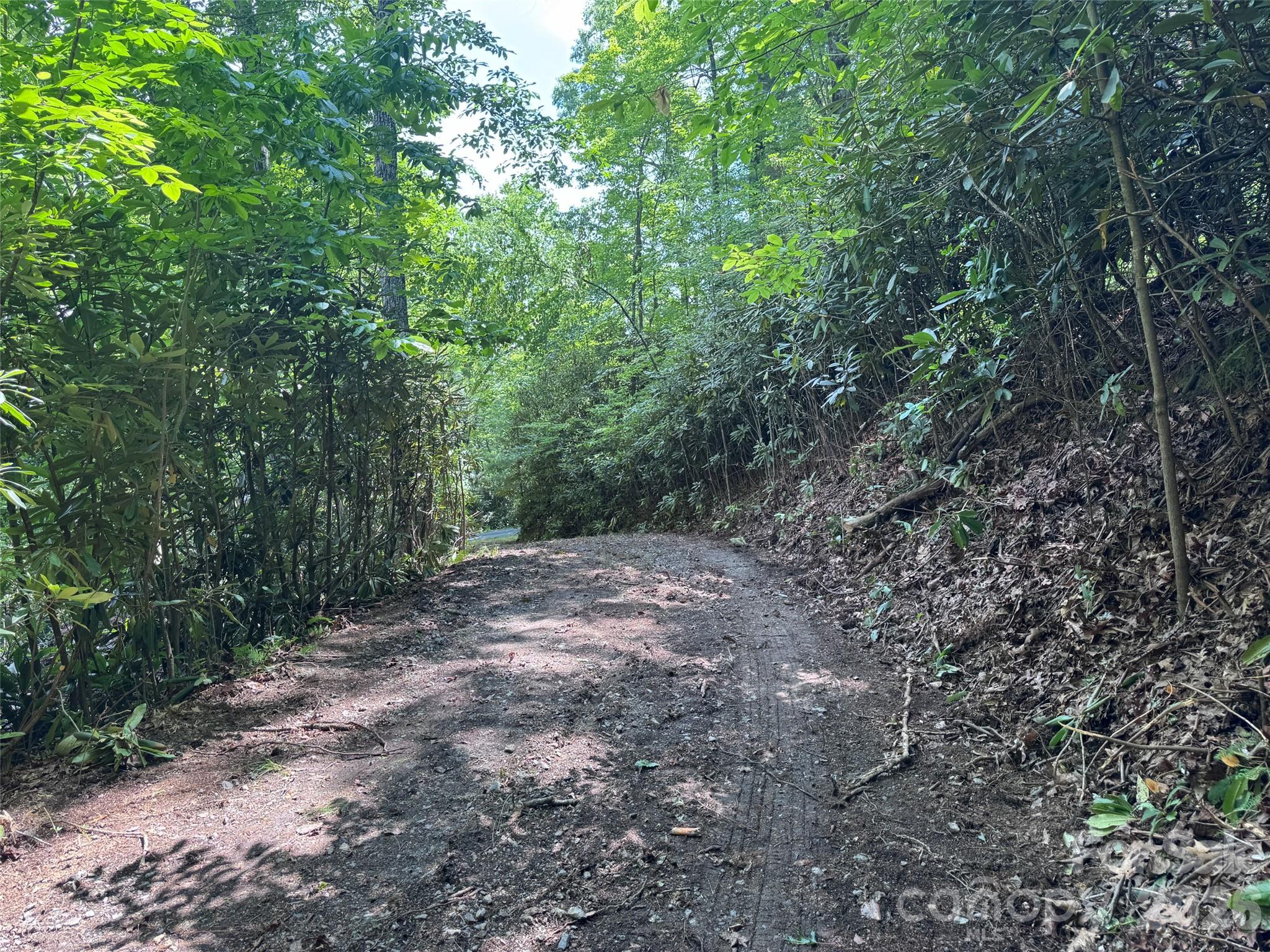 10 A Reserve Road Pisgah Forest, NC 28768 - Photo 29 of 33