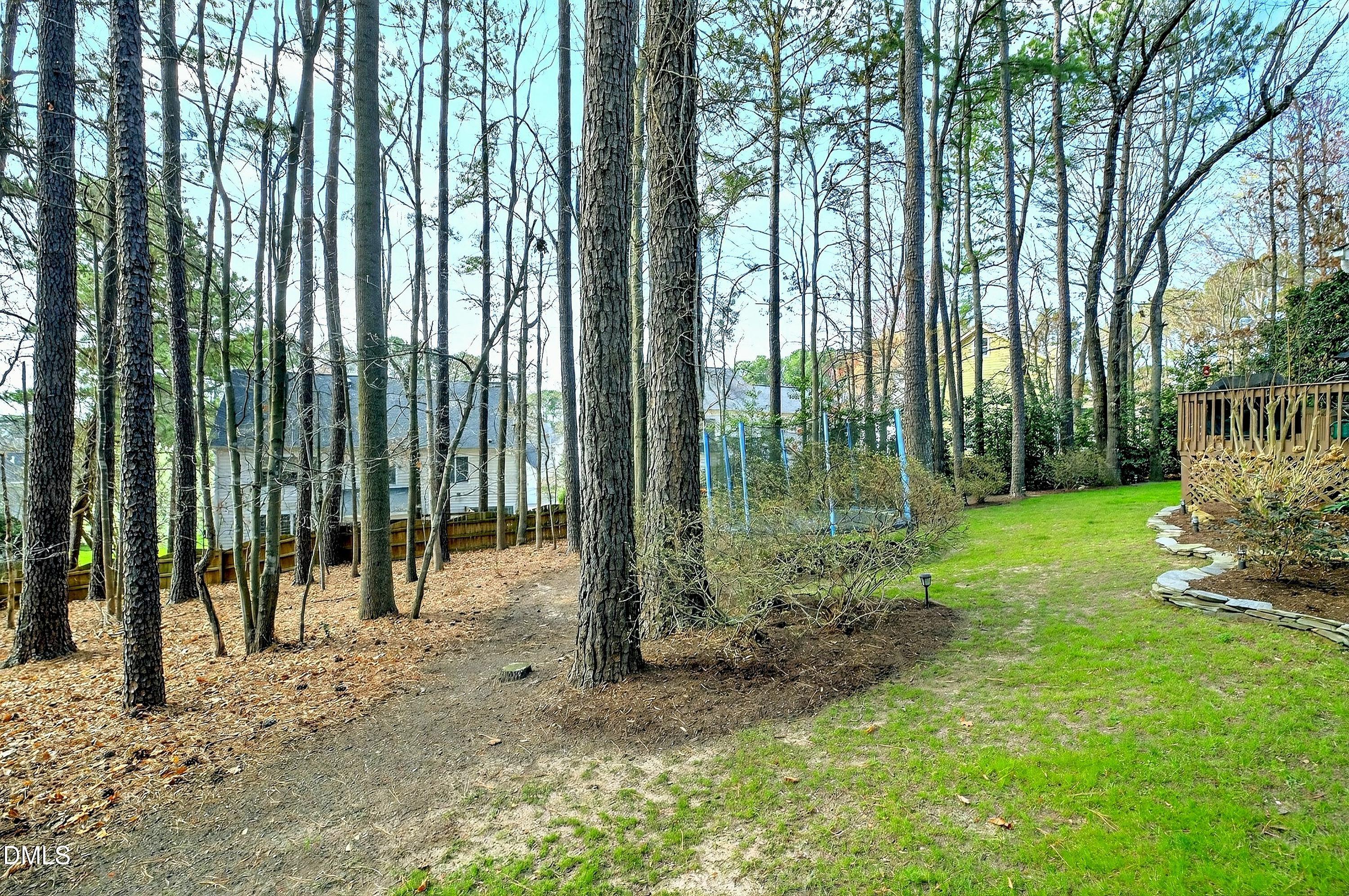 9805 Rockledge Drive Raleigh, NC 27617 - Photo 51 of 54 Scene-61