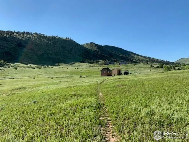 a view of a field with an ocean