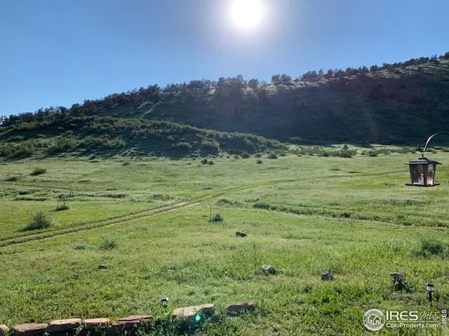 a view of a field with an trees
